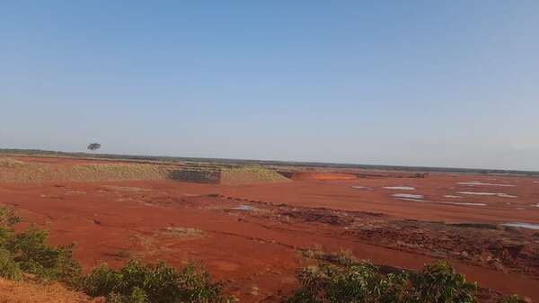 Revelan por qué la construcción de la planta de celulosa de Paracel sigue en pausa - Economía - ABC Color