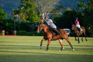 Popular / (GALERÍA) ¡Dionoguarde! Conductora del SNT sufrió un accidente con su caballo!