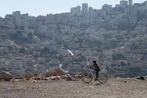 Ejército israelí arranca más de 3.000 olivos de aldea palestina - Mundo - ABC Color