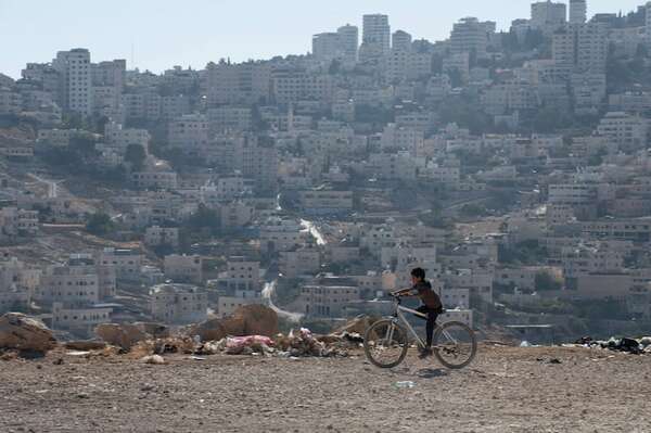Ejército israelí arranca más de 3.000 olivos de aldea palestina - Mundo - ABC Color