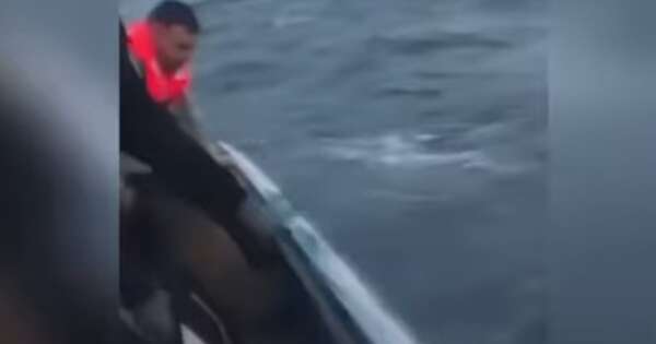 La Nación / Milagro: hallan con vida a uno de los cuatro paraguayos que naufragaron en el sur de Chile