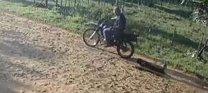 Denuncian a un hombre que arrastró a una perrita atada a su motocicleta en Villarrica  - Nacionales - ABC Color