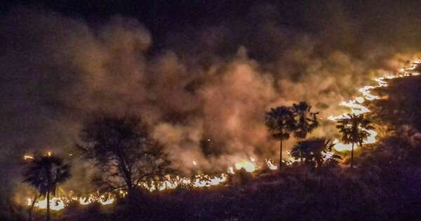 La Nación / Ecología del fuego, un amplio campo por estudiar aún en Paraguay