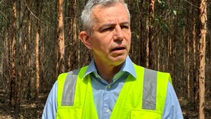 Paracel: Proyecto transformador para la producción de celulosa y energía