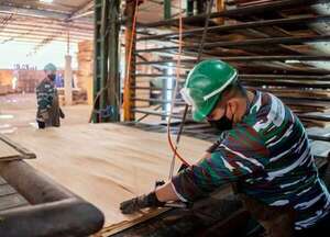 Apuntan a facturar hasta US$ 5.000 millones al año en industria forestal - ABC Rural - ABC Color