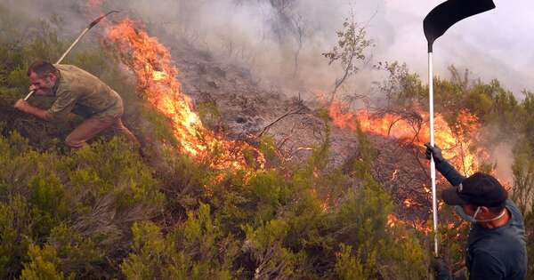 La Nación / España confirmó la ola de calor más intensa registrada