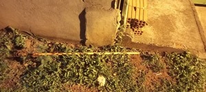 Popular / Menor internado porque le "entró" palo de escoba ndaje tras una caída