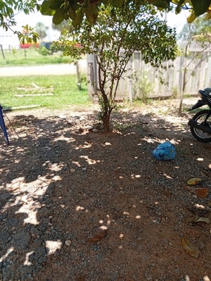 Denuncian supuesta venta irregular de terreno en Concepción - Concepción al Día