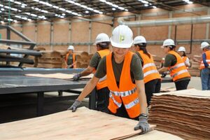 Inversiones realizadas bajo Ley 60/90 totalizaron USD 338 millones al cierre de julio