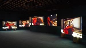 Cerró "Lúmina", concurso de videoarte y videopoema, con alta participación