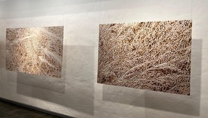 Wolfgang Krauch y el arte como forma de resistencia