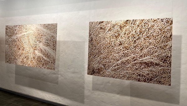 Wolfgang Krauch y el arte como forma de resistencia