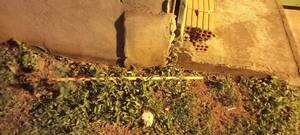 Menor fue internado porque le “entró” palo de escoba ndaje tras una caída
