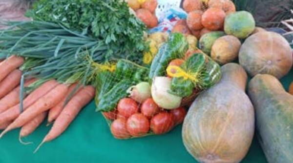 Producción frutihortícola crece 25% y gana mercados internacionales