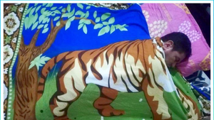 ¡Reforzá tu frazada de tigre! Se viene una semana con ro’y koko y lluvias dispersas