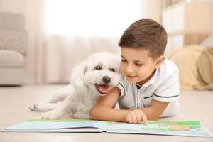 Cómo fomentar una convivencia segura entre niños y perros: claves y consejos prácticos - Mascotas - ABC Color