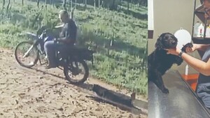 Ató del cuello a una perrita y la arrastró casi un kilómetro por comerse a pollitos