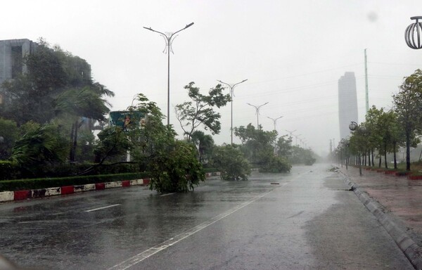 Evacuación masiva y cierre de aeropuertos ante cercanía del tifón «kajiki» en Vietnam