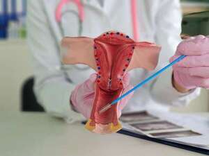 Todo lo que necesitás saber sobre el microbioma vaginal y su rol en tu vida sexual - Sexualidad - ABC Color