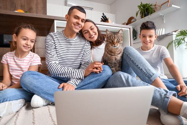 Gatos que se adaptan a familias numerosas: temperamento y cuidados necesarios - Mascotas - ABC Color