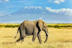 Kilimanjaro: todo lo que debés saber para conquistar la montaña más alta de África - Viajes - ABC Color