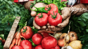 Destacan el crecimiento de la producción frutihortícola en el país | Unicanal