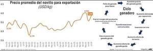 Ganadería local: señales de transición hacia una nueva etapa de expansión - Economía - ABC Color