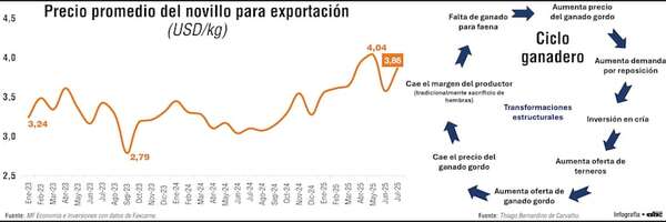 Ganadería local: señales de transición hacia una nueva etapa de expansión - Economía - ABC Color