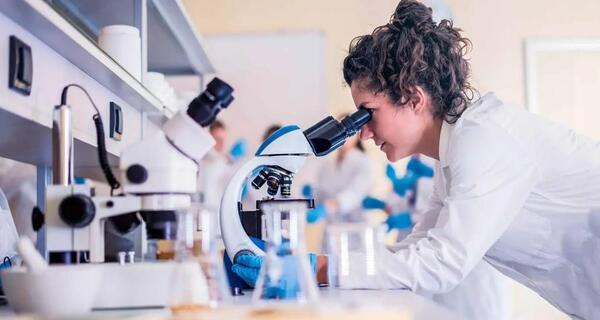 Ministerio de la Mujer habilita concurso nacional de investigación académica