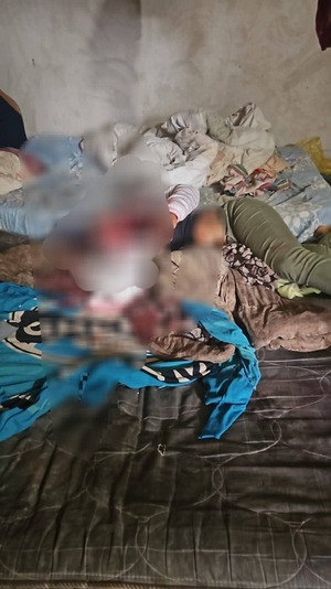 Popular / Degolló a su doña y al huir se accidentó