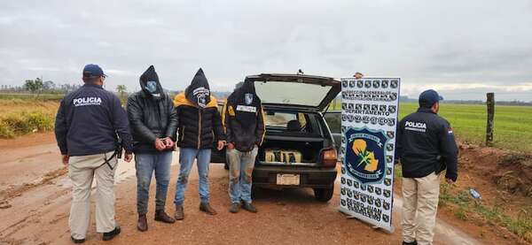 Detienen a tres personas e incautan casi 170 kilos de marihuana en Amambay - Nacionales - ABC Color