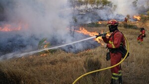 España sufre con los incendios una de sus "mayores catástrofes medioambientales", dice el Gobierno