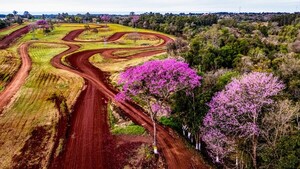 Cuenta regresiva ante el "desafío tremendo" del Mundial de Rally