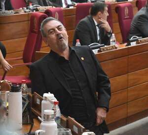Prieto “bandido” y Nenecho  “patriota”, según diputado cartista - Política - ABC Color