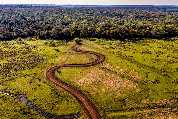 Rally del Paraguay: ¡Estos son los tramos y horarios de largada! - trece