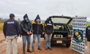 Incautan casi 170 kilos de marihuana en Pedro Juan Caballero