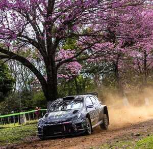 Ministerio de Salud prepara cobertura completa para el Rally Mundial del Paraguay - trece