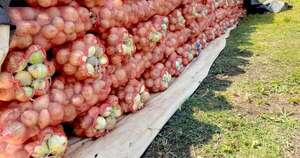 La Nación / Informan sobre disposiciones para exportación de productos frutihortícolas a Argentina