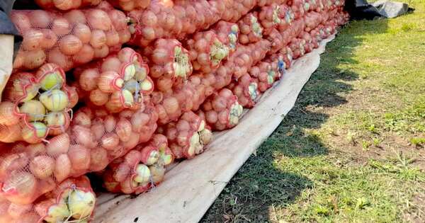 La Nación / Informan sobre disposiciones para exportación de productos frutihortícolas a Argentina