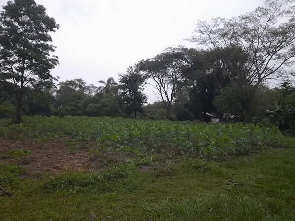 Firman acuerdo interinstitucional para beneficiar la agricultura familiar en Misiones - Nacionales - ABC Color