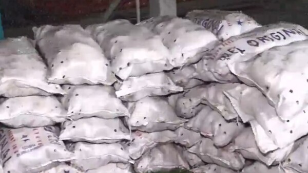 Incautan más de 2.000 bolsas de cebolla y papa de presunto contrabando
