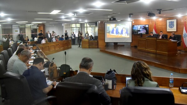 Concejales piden acceder a informe que realizó el interventor sobre gestión de Nenecho