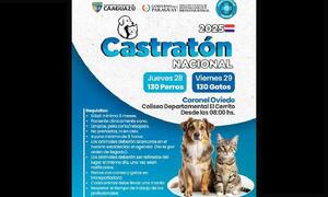 Dos jornadas de castración gratuita de caninos y felinos en Coronel Oviedo – Prensa 5
