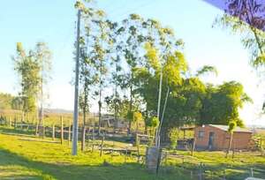 Santa Elena: denuncian irregularidades en proyecto de subdivisión de tierras - Nacionales - ABC Color