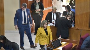Senado pide que se interrumpa el llamado a licitación de máquinas de votación