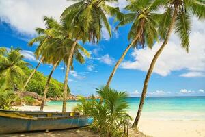 Seychelles: un paraíso donde la sostenibilidad y el lujo se encuentran - Viajes - ABC Color