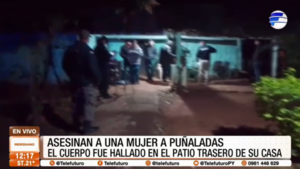 Asesinaron a una mujer a puñaladas en Concepción