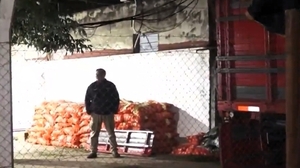 Incautan 2.000 bolsas de cebolla y 250 de papa en operativos contra el contrabando