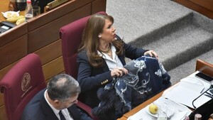 Senado rechaza dar a puente nombre del primo de Pastor Coronel