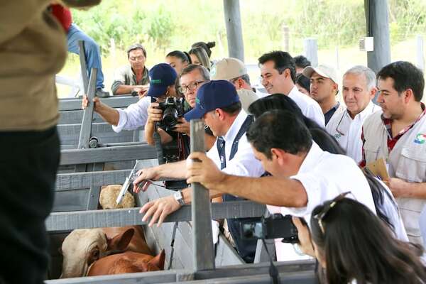 Cámara de Carnes pide definir el futuro de la vacunación antiaftosa con criterios técnicos - ABC Rural - ABC Color